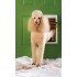 Extreme Weather Pet Door Large